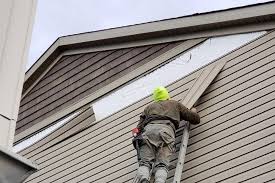 Best Fiber Cement Siding Installation  in Lesslie, SC